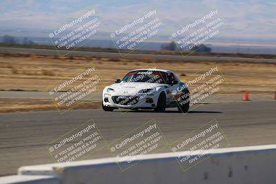 media/Nov-16-2024-CalClub SCCA (Sat) [[641f3b2761]]/Group 4/Grid and Front Straight/